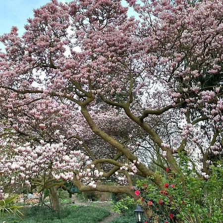 Gaestehaus Magnolia Sehnde